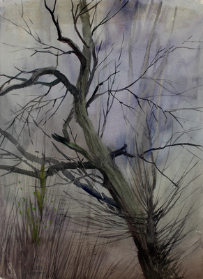 Андрияка Сергей Николаевич. Ненастная весна